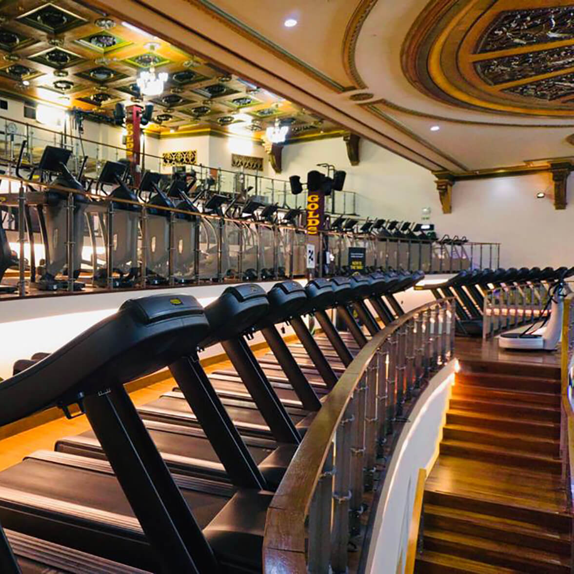 GOLD'S GYM
